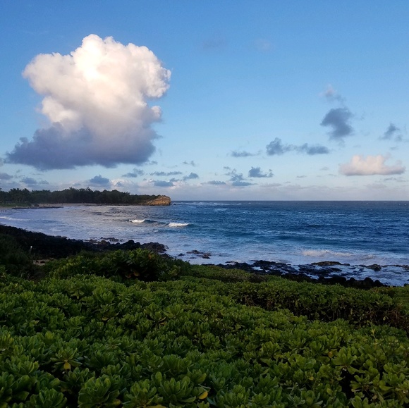 Meet your Posher, Gretchen - Picture 1 of 1